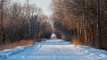 080_Biebrza - marzec 2013